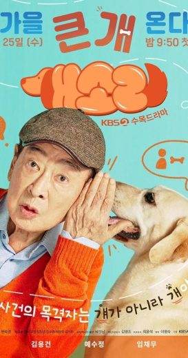 مسلسل كلب يعرف كل شيء Dog Knows Everything كامل