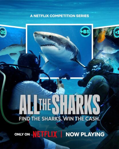 برنامج All the Sharks كامل